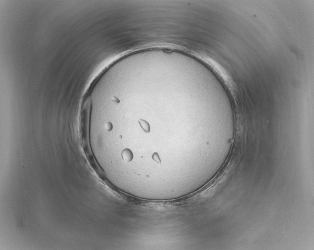 X0000115790910200912041510