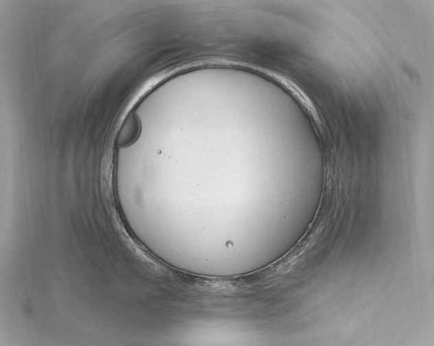 X0000115790911200912041510