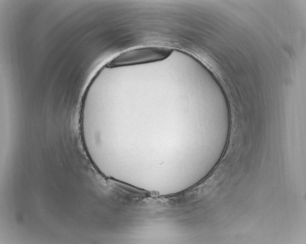 X0000115790912200912041510