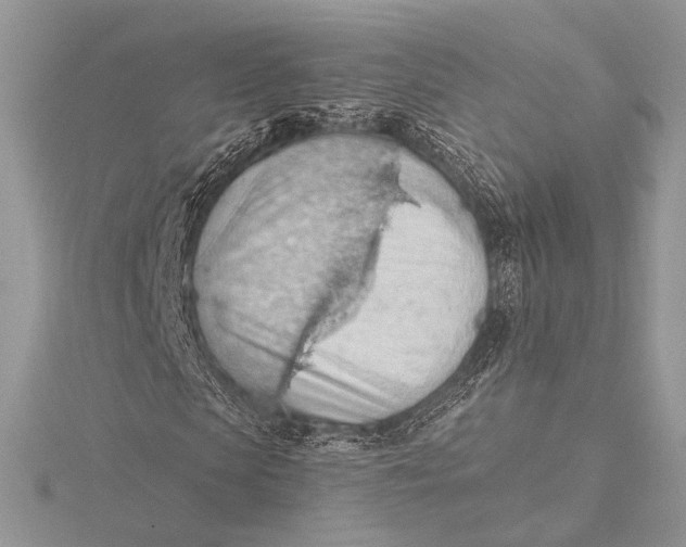 X0000115790913200912041509