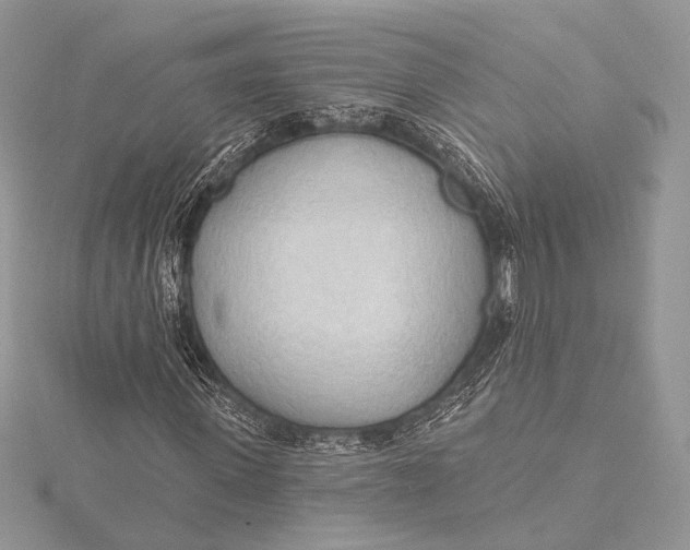 X0000115790915200912041509