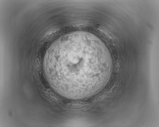 X0000115790917200912041509