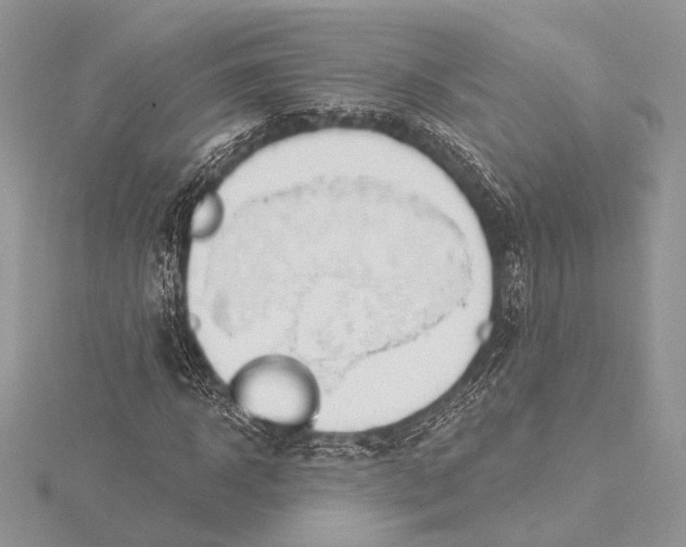 X0000115790918200912041509