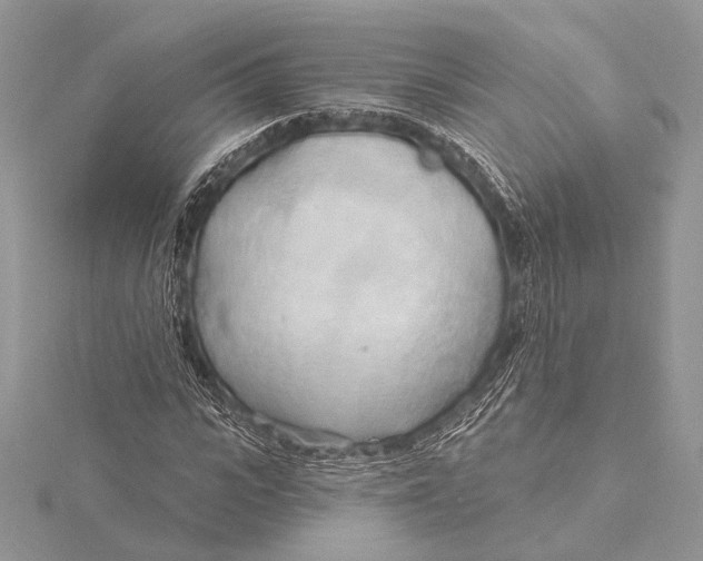 X0000115790919200912041509