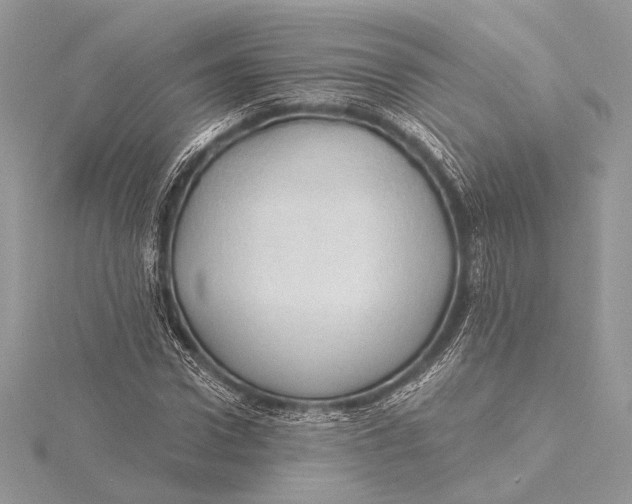 X0000115790922200912041509