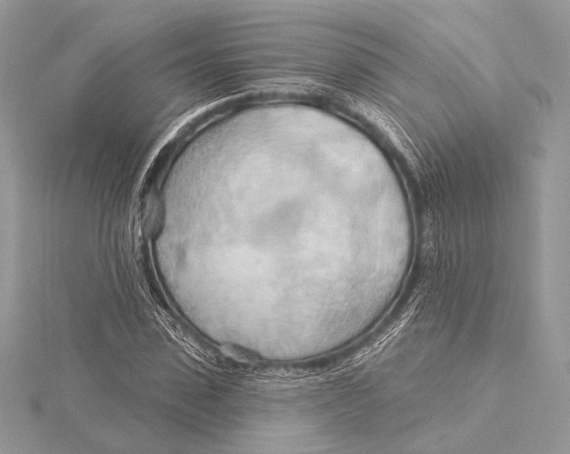 X0000115790923200912041509