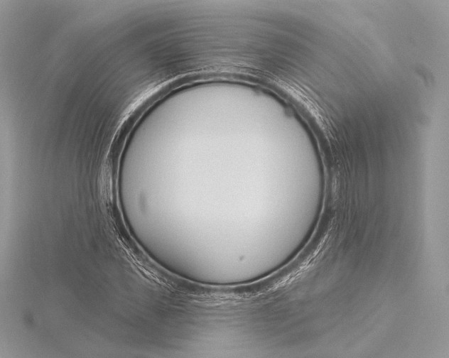 X0000115790925200912041509