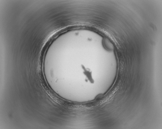 X0000115790927200912041509