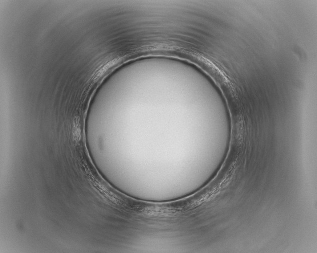 X0000115790929200912041509