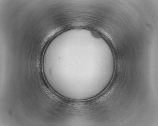 X0000115790930200912041509