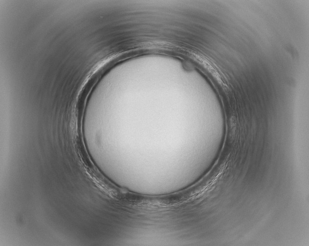 X0000115790931200912041509