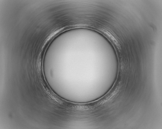 X0000115790933200912041509