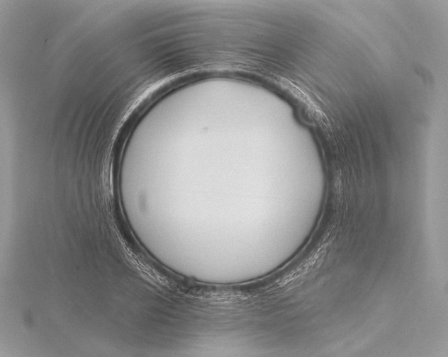 X0000115790934200912041509