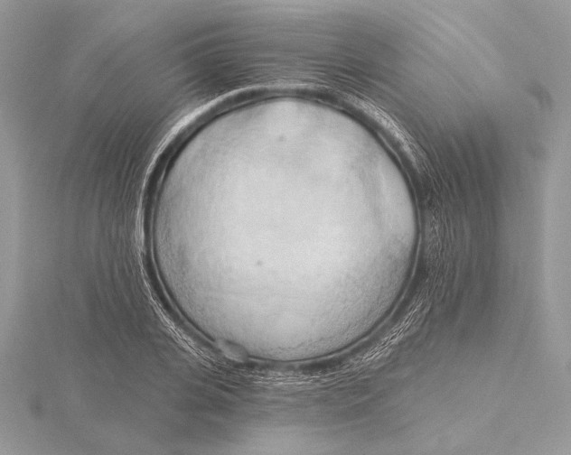 X0000115790935200912041509