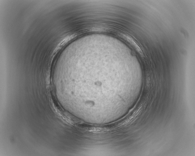 X0000115790938200912041509