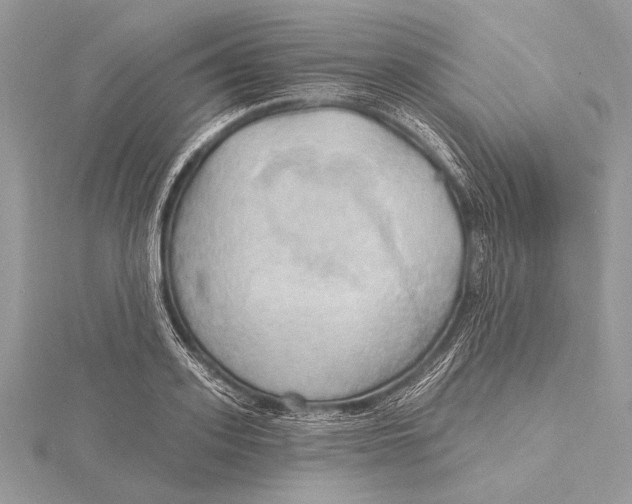 X0000115790939200912041509