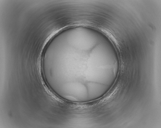 X0000115790941200912041509