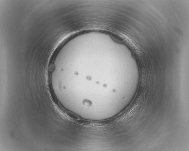 X0000115790942200912041509