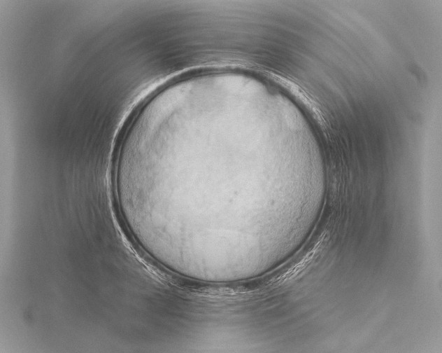 X0000115790943200912041509