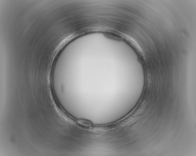 X0000115790946200912041509