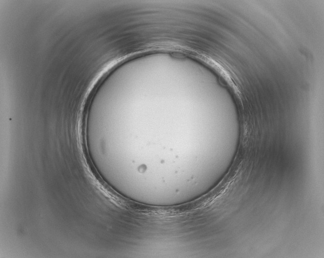 X0000115790947200912041509