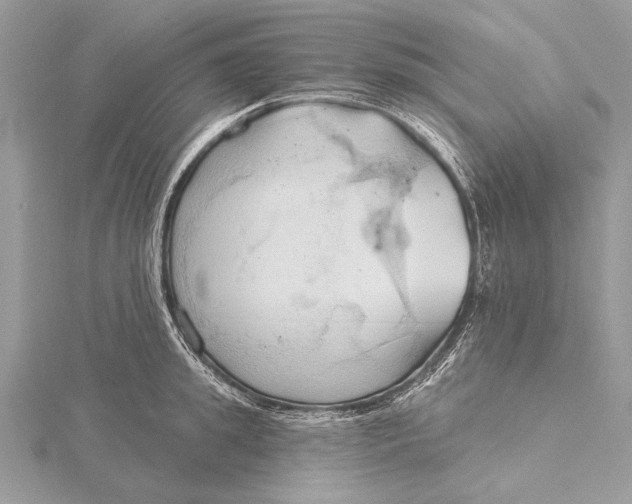 X0000115790949200912041510