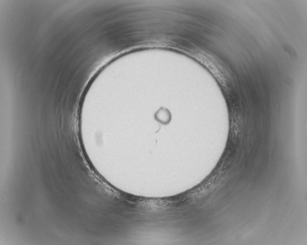 X0000115790950200912041510