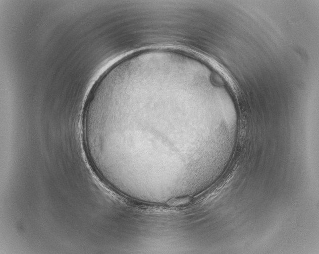 X0000115790951200912041510