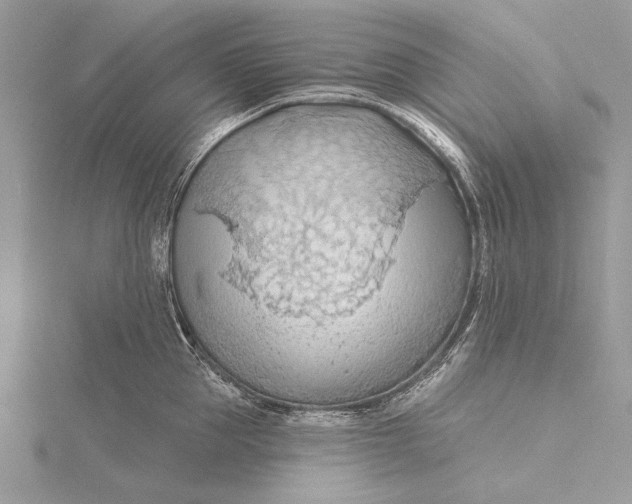 X0000115790953200912041510