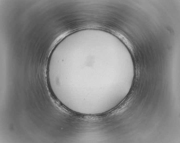 X0000115790954200912041510