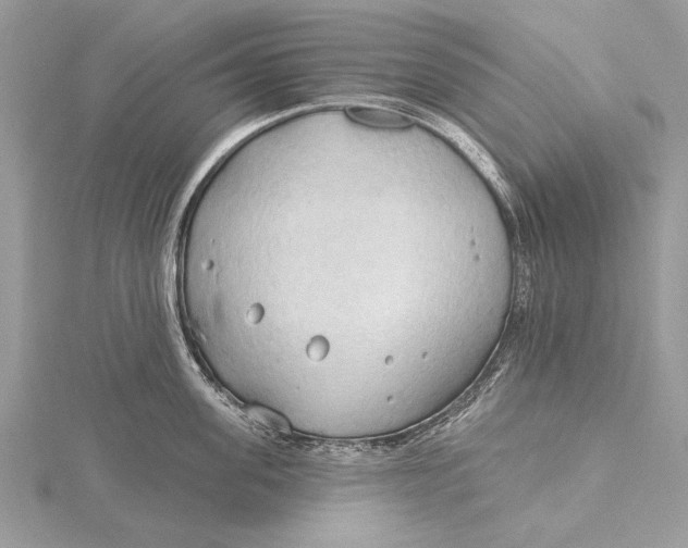 X0000115790955200912041510