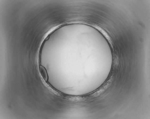 X0000115790957200912041510