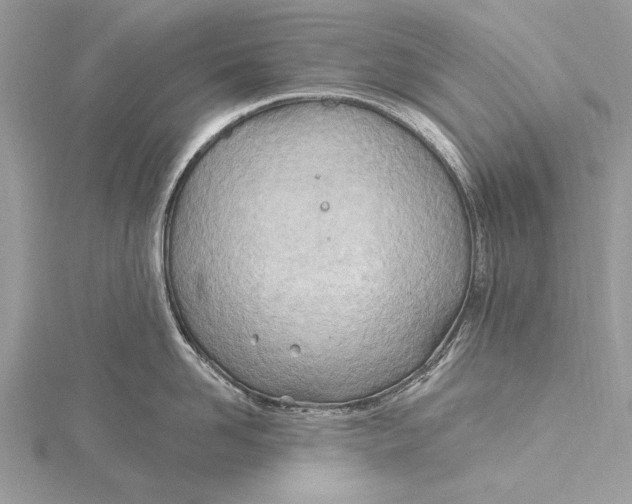 X0000115790958200912041510