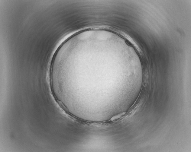 X0000115790959200912041510