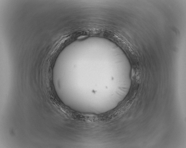 X0000115790961200912041509