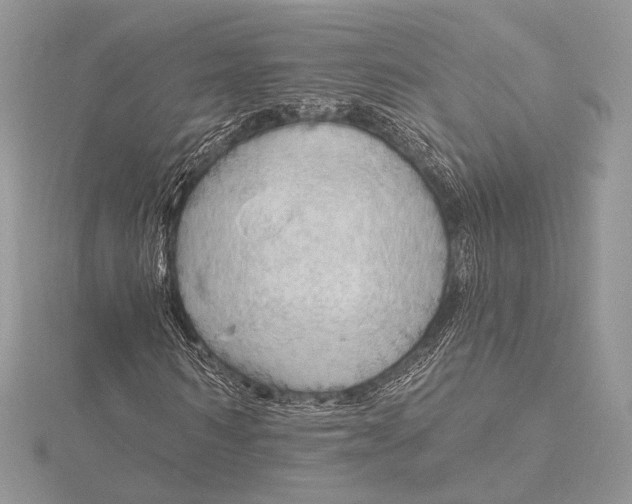 X0000115790962200912041509