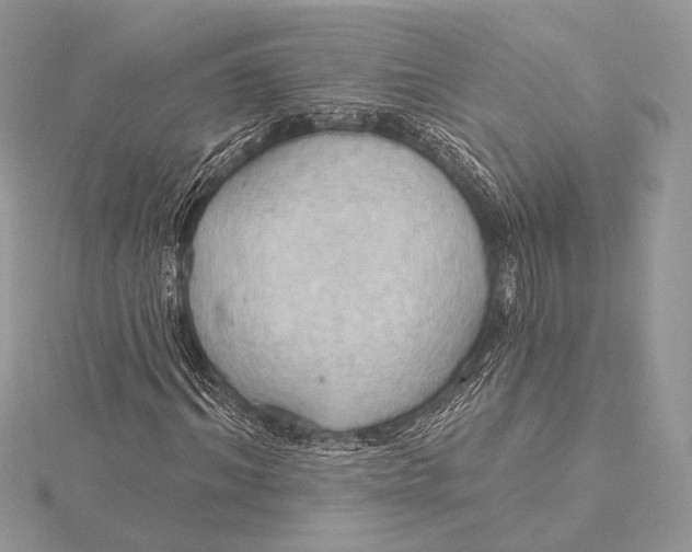 X0000115790964200912041509