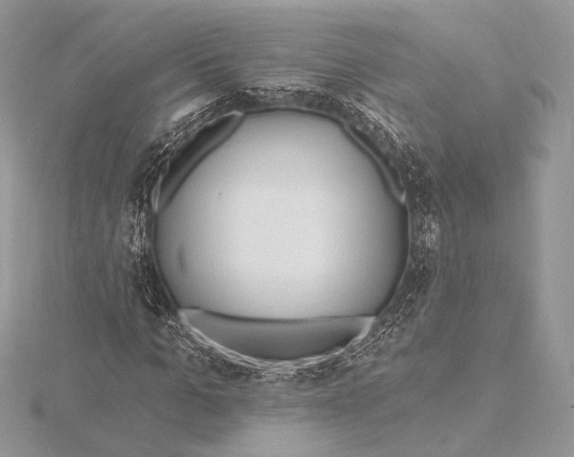 X0000115790965200912041509