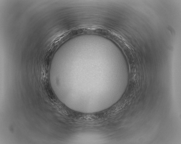 X0000115790966200912041509