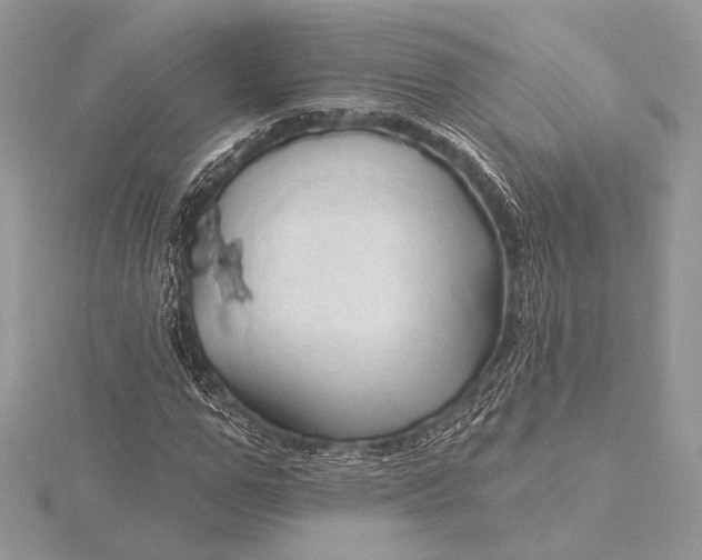 X0000115790967200912041509