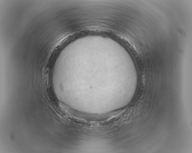 X0000115790968200912041509