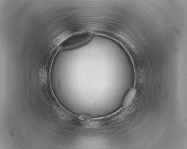 X0000115790969200912041509