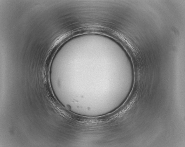 X0000115790970200912041509