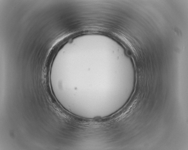 X0000115790971200912041509