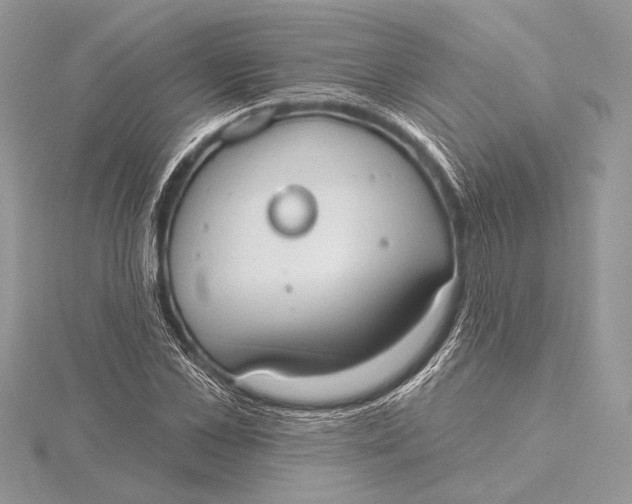 X0000115790973200912041509