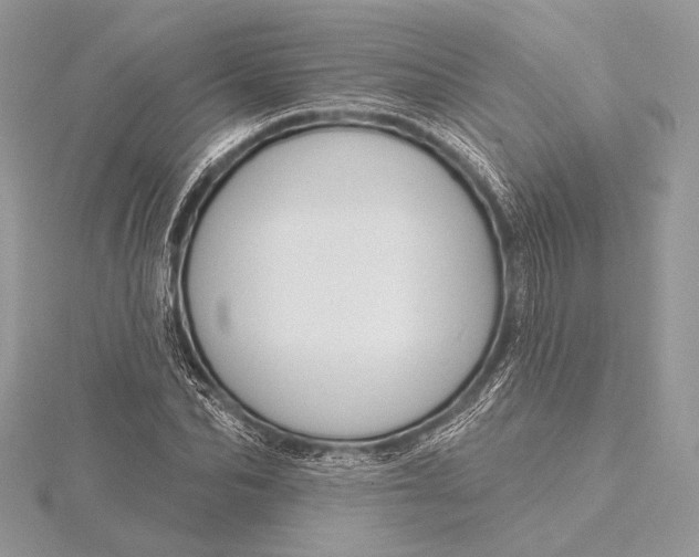 X0000115790974200912041509