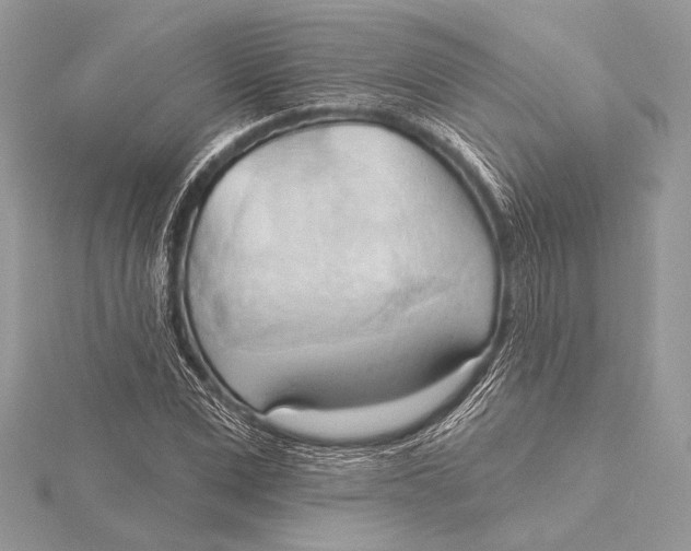 X0000115790975200912041509