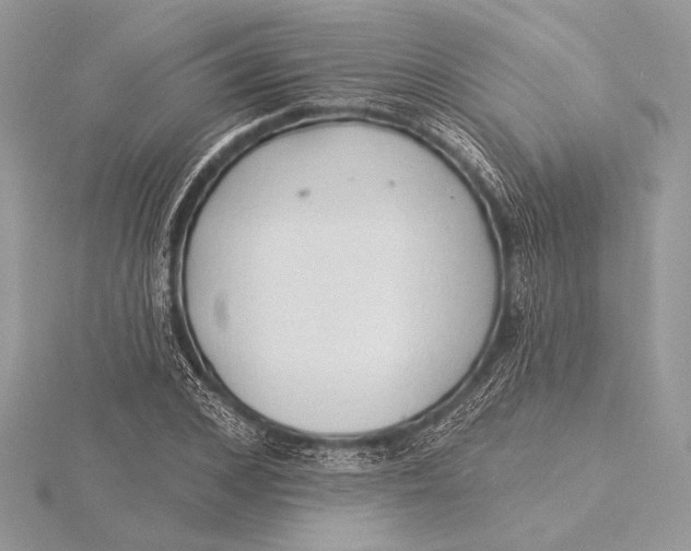 X0000115790976200912041509