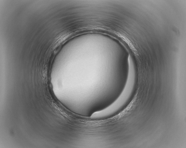 X0000115790977200912041509