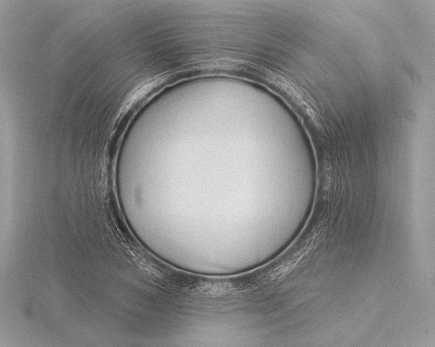 X0000115790978200912041509